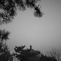 《DOTA2》新英雄玛西上线 技能展示颠勺2.0？